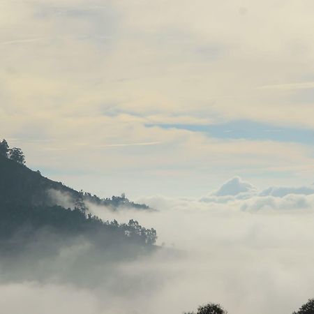 Hide Away Cottages Ooty Luaran gambar